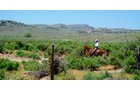 Property photo 19 - 92,312+/- Acres Offered in 14 Tracts